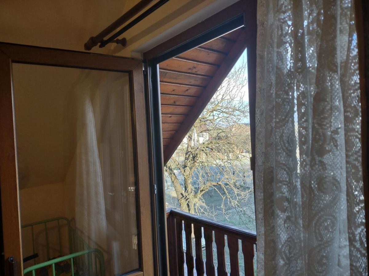 Pensiunea Ghita Vasile Vadu Izei Dış mekan fotoğraf