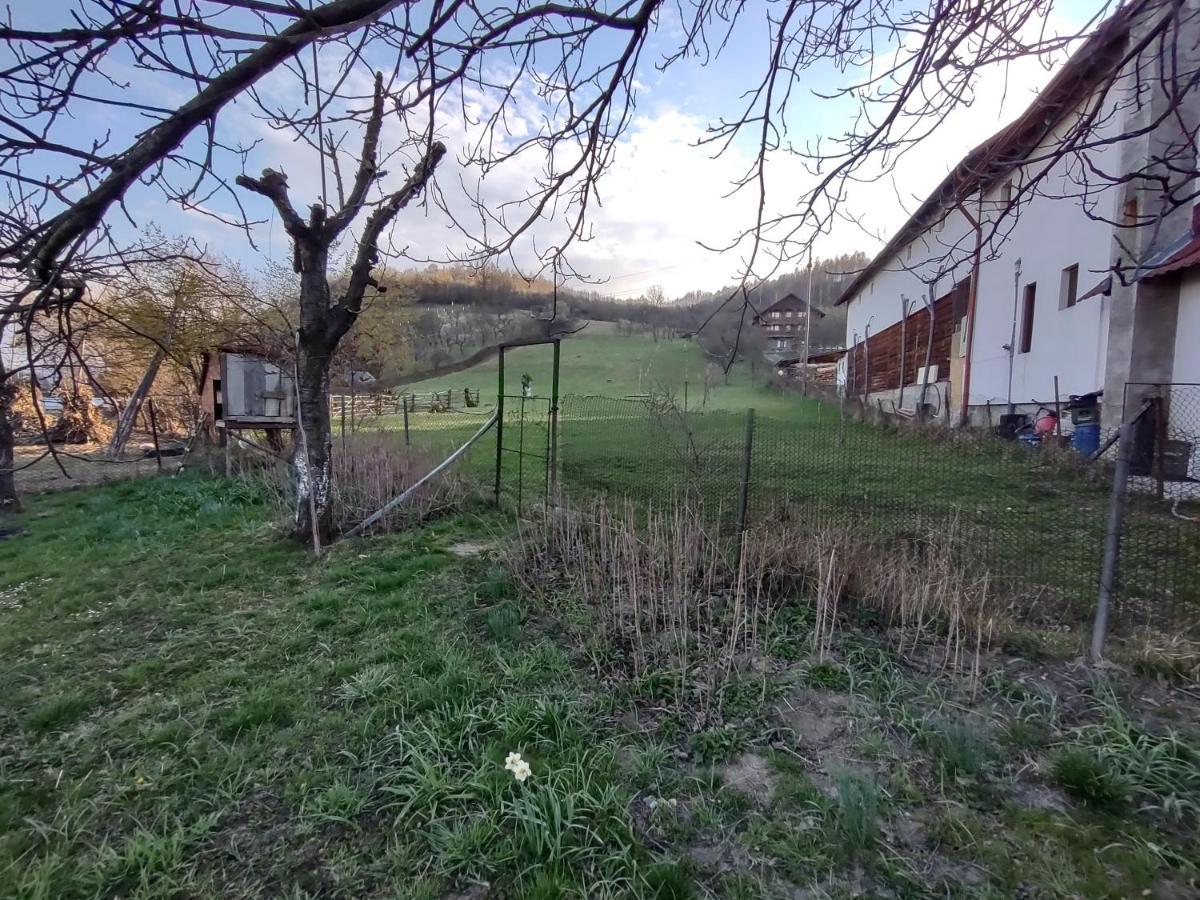 Pensiunea Ghita Vasile Vadu Izei Dış mekan fotoğraf