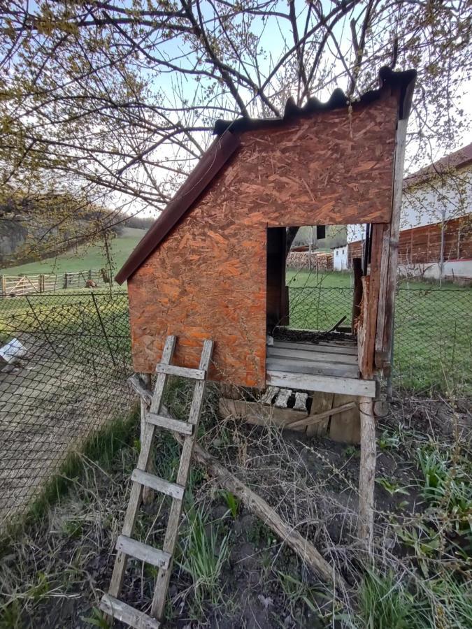 Pensiunea Ghita Vasile Vadu Izei Dış mekan fotoğraf