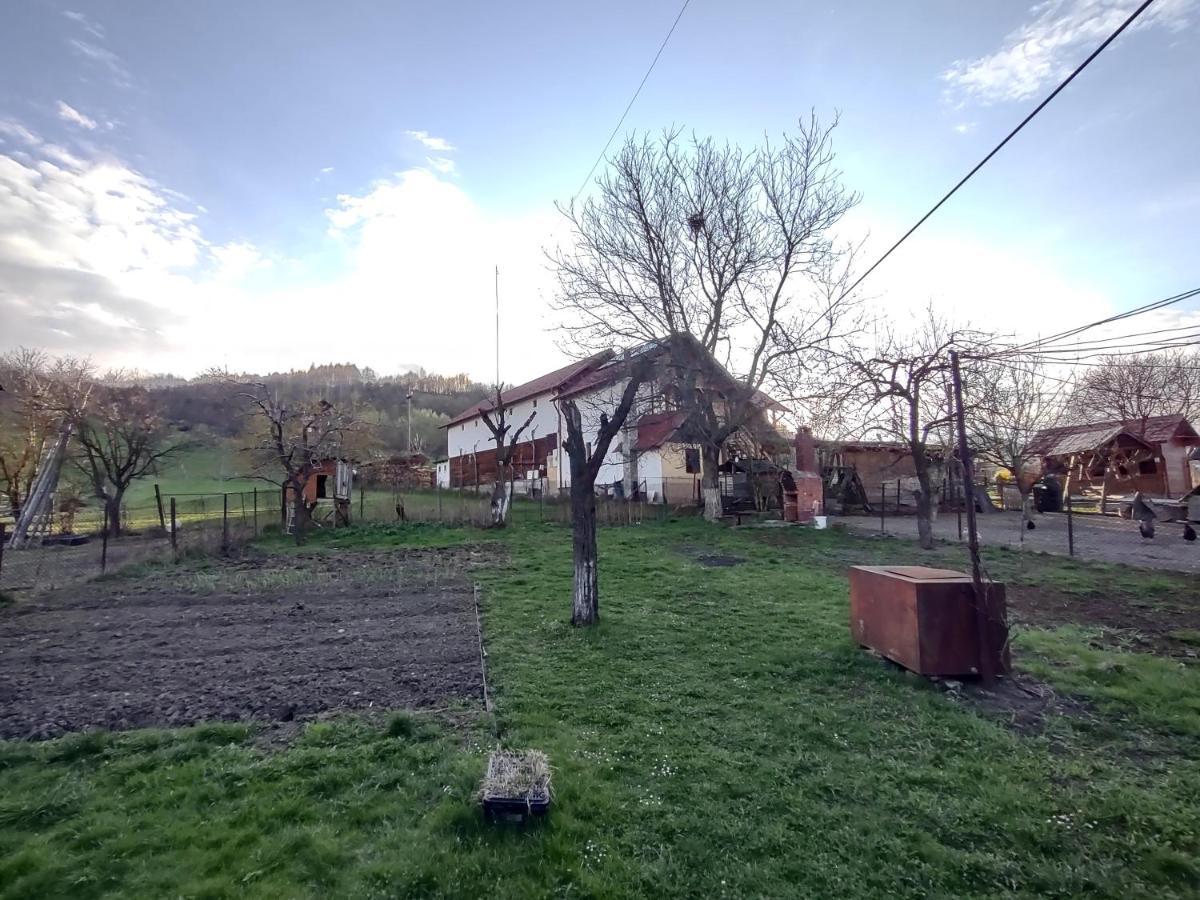 Pensiunea Ghita Vasile Vadu Izei Dış mekan fotoğraf